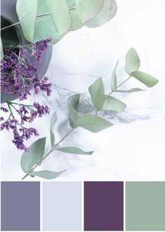 some purple flowers and green leaves on a white table with color swatches in the background