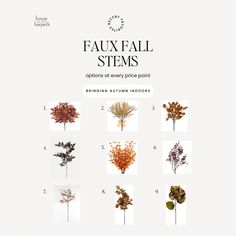 various types of flowers and leaves are shown in this brochure, with the title'faux fall stems options at every price point '