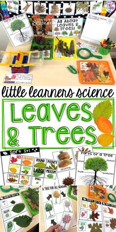 Leaf Science, Science Center Preschool, Science Area, Preschool Centers, Kindergarten Lesson Plans, Fall Preschool, Creative Curriculum