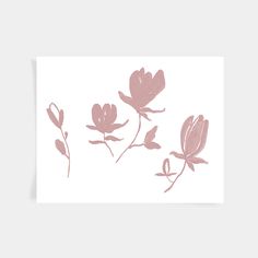 three pink flowers on a white background