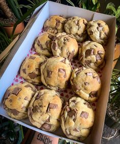 a box filled with chocolate chip cookies sitting on top of a table