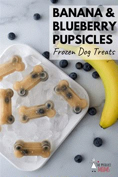 banana and blueberry popsicles on ice with dog treats in the middle for dogs to eat