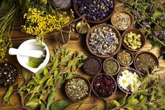 Bądź Fit, Magia Das Ervas, Natural Kitchen, Detox Your Body, Healing Herbs, Kitchen Witch, Medicinal Herbs, Sciatica, Natural Medicine