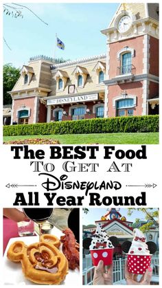 the best food to get at disneyland all year round