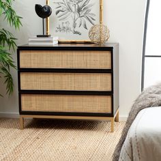 a bedroom scene with focus on the chest of drawers and plant in the corner,