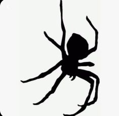 a spider silhouetted against a white background