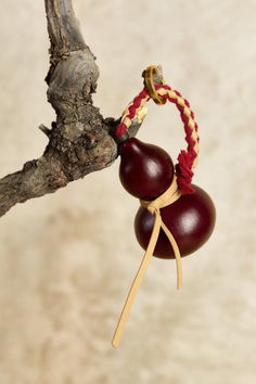 two cherries hanging from a tree branch on a string tied to a twig