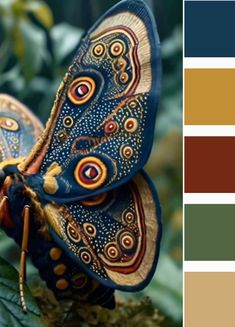 a blue butterfly sitting on top of a leaf next to a color swatel with different colors