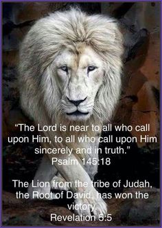 a white lion with a bible verse on it's face and an image of the lion