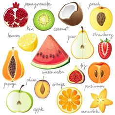 an illustration of different types of fruit