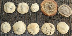 an image of different types of cookies being cooked on the grill with numbers and times