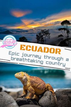 an iguado sits on top of some rocks near the ocean and clouds in the background