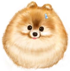 a pomeranian dog with a blue bow on its head