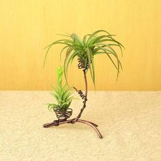 two air plants in wire wrapped pots sitting on a table next to a yellow wall