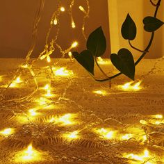 the lights are glowing up on the table