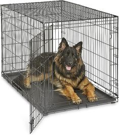 a large dog laying in a metal cage