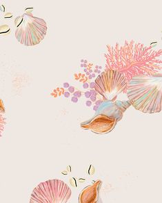 an image of seashells and seaweed on a white background with pink flowers