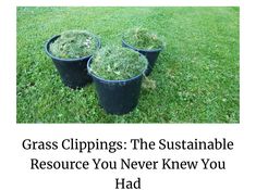 three buckets filled with grass sitting on top of a lush green field next to the words grass clippings the sustainable resources you never knew you had