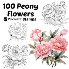 the flowers are drawn in different styles and sizes, including peonie's