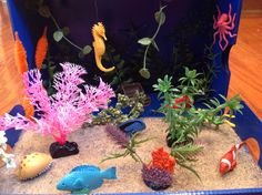 an aquarium filled with different types of plants and fish on top of sand in a blue box