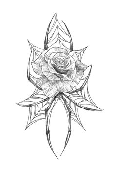 a drawing of a rose with leaves on the bottom and one flower in the middle