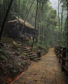 a path in the woods with steps leading up to a hut on top of it