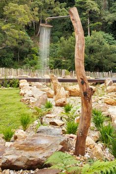 a tree that is in the middle of some rocks and water spouting from it