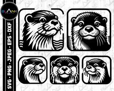 four otters with different facial expressions in black and white