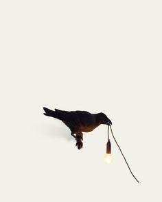 a black bird with a light bulb attached to it's body and its beak