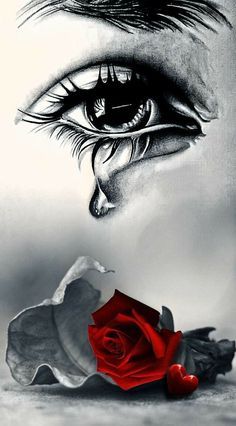 a woman's eye and red rose on the ground