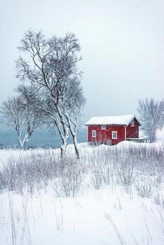 a red house sitting on top of a snow covered field next to a tree in the middle of winter