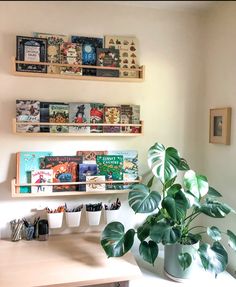 some books are on shelves above a desk with a potted plant in front of it