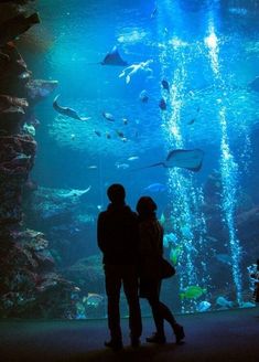 two people standing in front of an aquarium