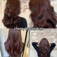 Cherry Brown Hair, Wine Hair, Brown Hair Looks, Cherry Brown, Cherry Hair, Brown Hair Inspo, Hair Tint, Hairstyles For Layered Hair, Hair Color Auburn