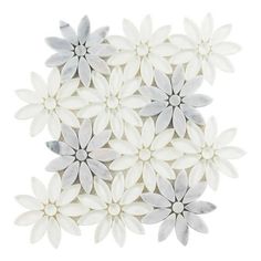 white and grey flowers on a white background