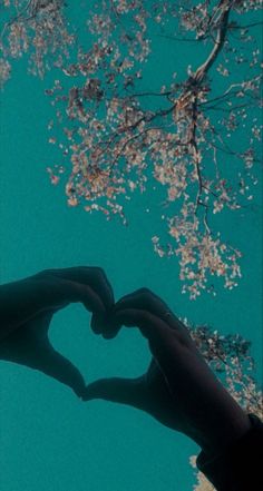 two hands making a heart shape in front of a tree with its branches and leaves