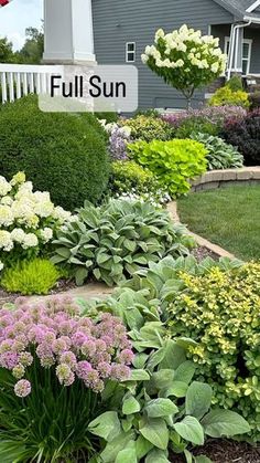 a garden filled with lots of flowers next to a white sign that says full sun