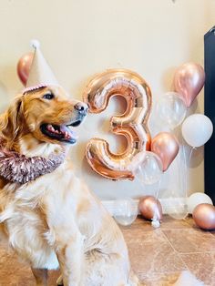 a dog wearing a party hat sitting in front of balloons that spell out the number three