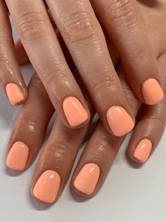 short solid colored peach nails Short Nails Shellac Summer, Short Nail Summer Colors, Pretty Nails For The Beach, Nexgen Nails Ideas Summer, Short Gel Nail Color Ideas, Peach Colored Nail Ideas, Summer Nails 2023 Natural Nail, Gel On Natural Nails Short Summer, Gel Nails No Design