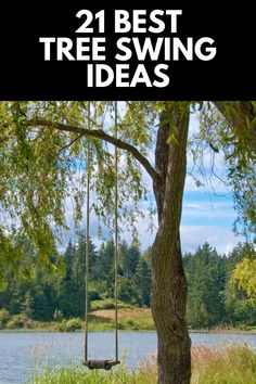 a tree swing hanging from a tree next to a lake with the words, 21 best tree swing ideas