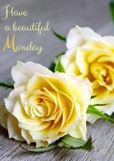 two yellow roses sitting next to each other on top of a wooden table with the words have a beautiful monday