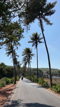 a car is driving down the road between palm trees