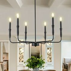 a chandelier hanging over a dining room table with chairs and a potted plant