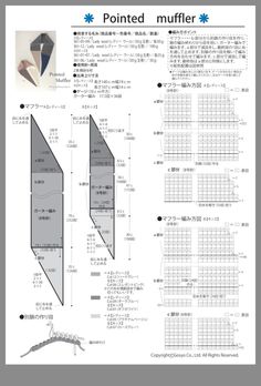 the instructions for how to make an origami paper airplane with pictures on it