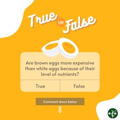 an orange background with the words true or false and two eggs on top of each other