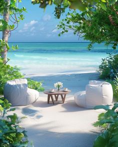 two white chairs sitting on top of a sandy beach next to the ocean and trees