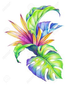 watercolor drawing of tropical leaves and flowers