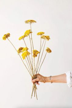 a person holding a bunch of yellow flowers in their left hand, with the stems still attached to them