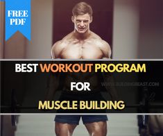 the best workout program for muscle building