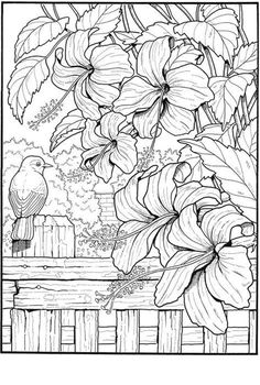 Dibujos de Paisajes para colorear para Adultos - 60 imágenes gratis Creative Haven Coloring Books, Garden Coloring Pages, الفن الرقمي, Detailed Coloring Pages, Adult Colouring Pages, Bird Coloring Pages, Free Adult Coloring Pages, Printable Adult Coloring Pages, Flower Coloring Pages